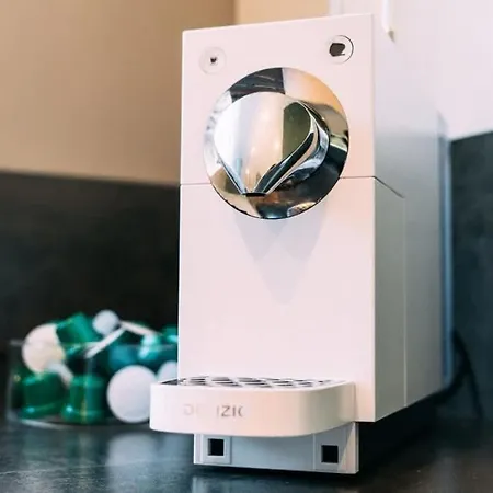 Swiss House With Mountain Views 迈林根