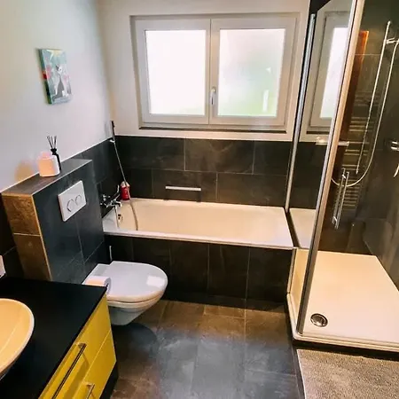 度假居 Swiss House With Mountain Views 迈林根