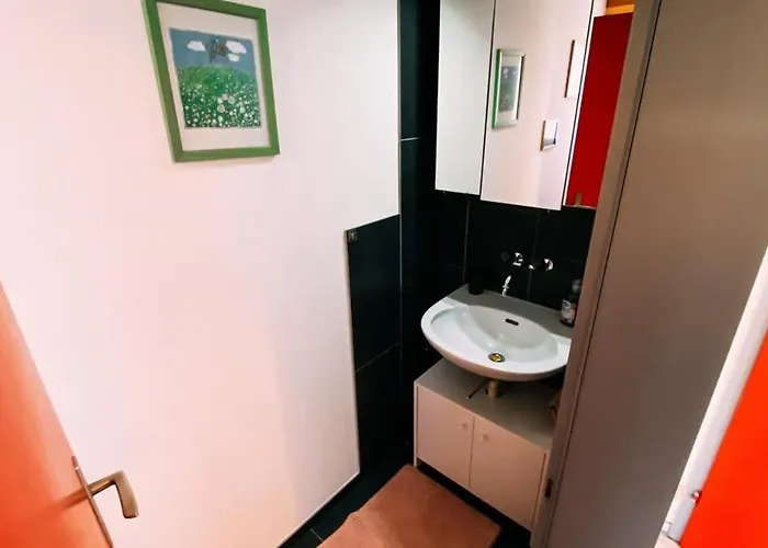 Swiss House With Mountain Views