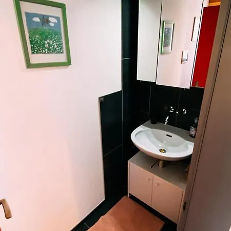 Swiss House With Mountain Views